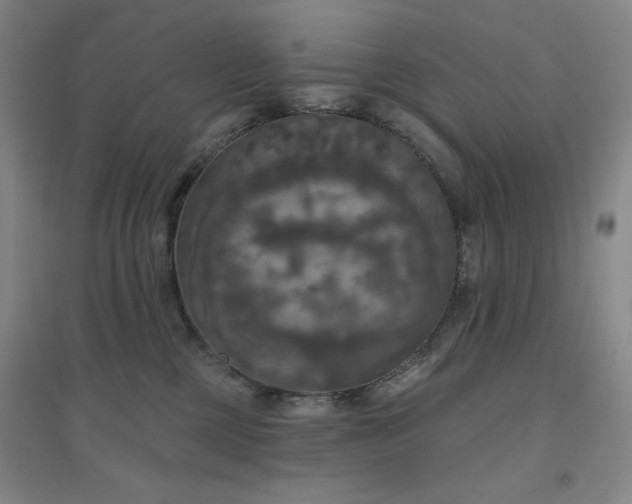 X0000094790377200711161439