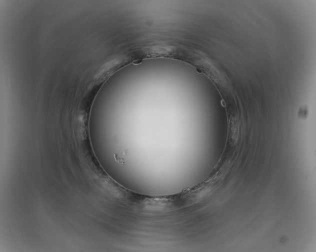 X0000094790378200711161439