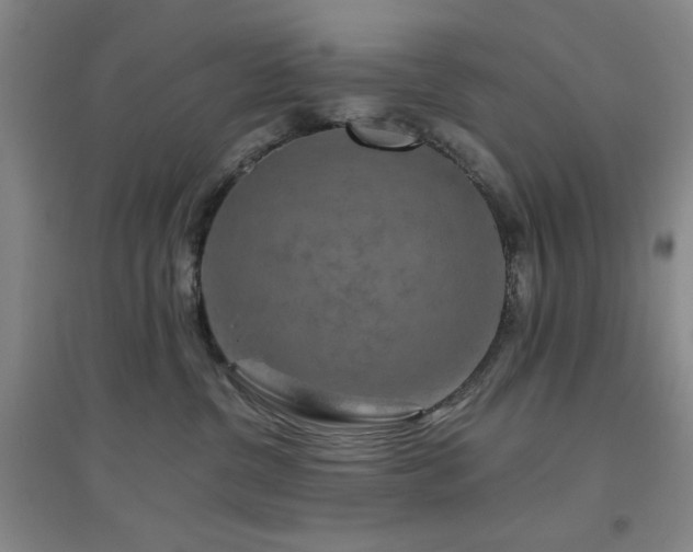 X0000094790380200711161439