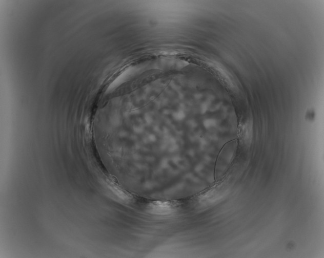 X0000094790381200711161439