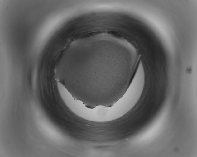 X0000094790382200711161439