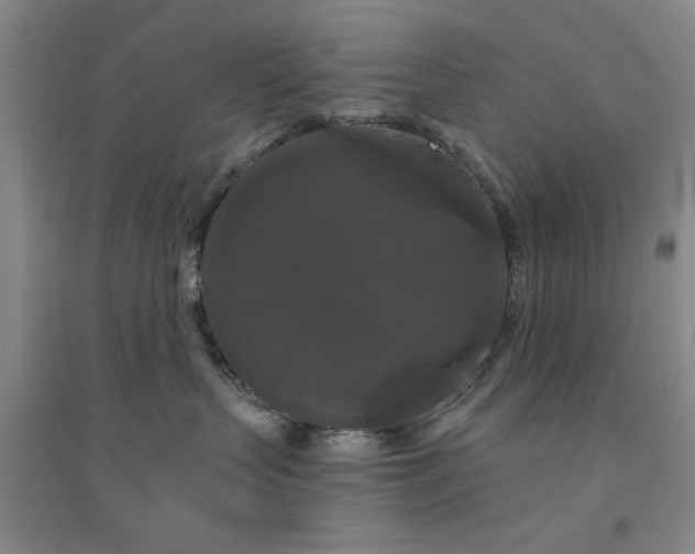 X0000094790383200711161439