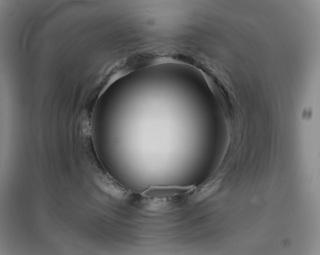 X0000094790384200711161439