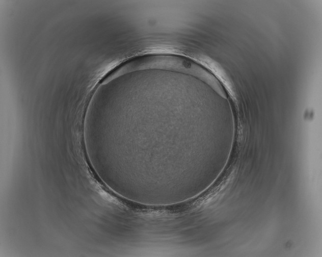 X0000094790385200711161439