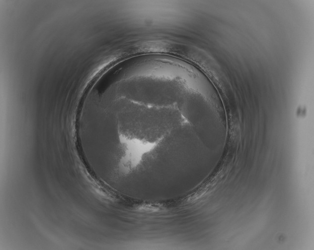 X0000094790386200711161439