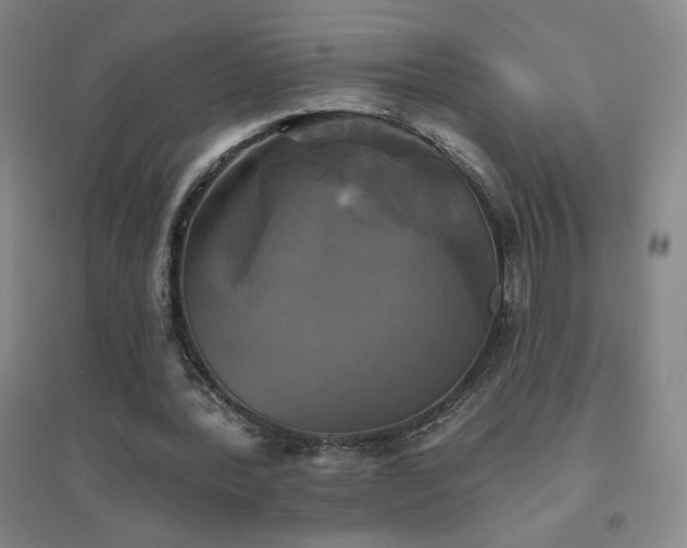 X0000094790388200711161438