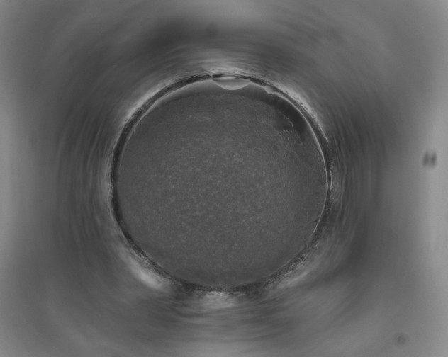 X0000094790390200711161438