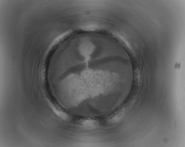 X0000094790400200711161438