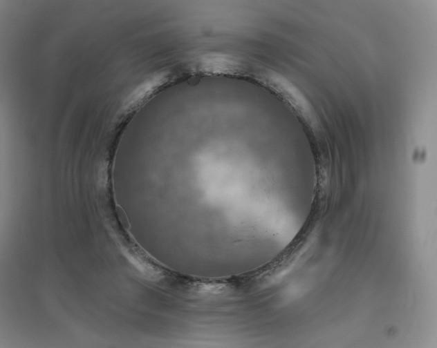 X0000094790401200711161438