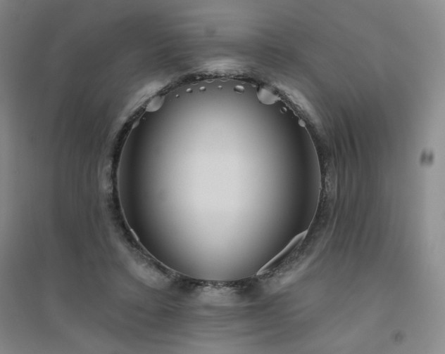 X0000094790403200711161438