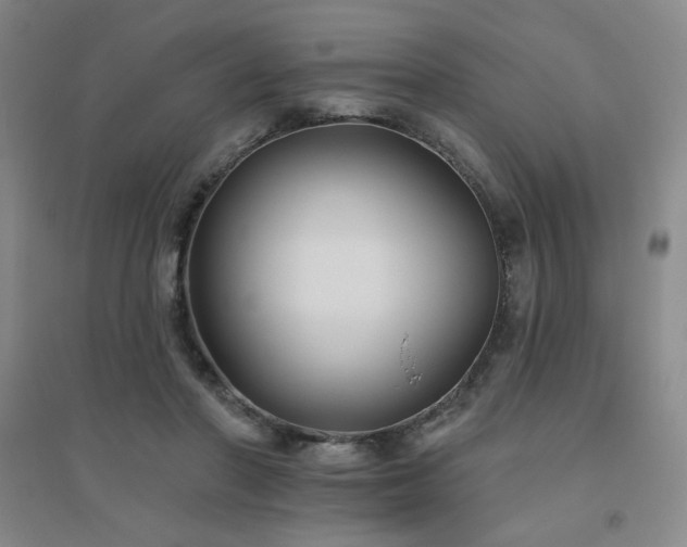 X0000094790406200711161438