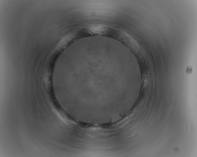 X0000094790408200711161438