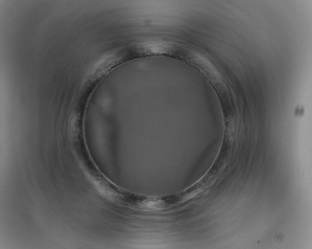 X0000094790410200711161438