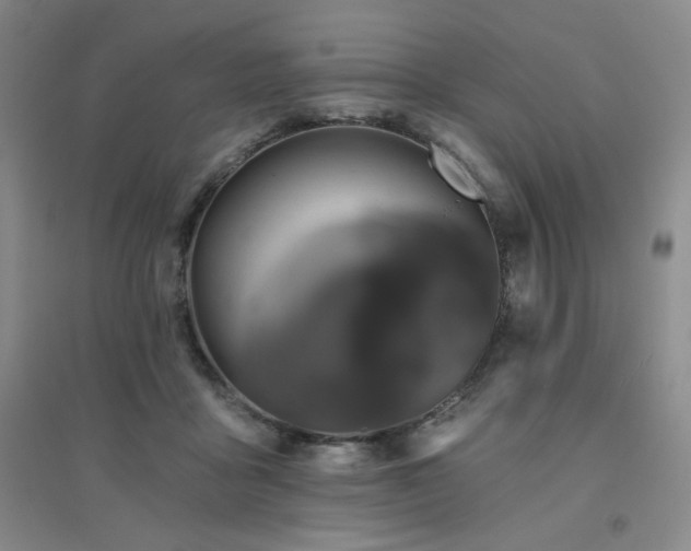 X0000094790411200711161438