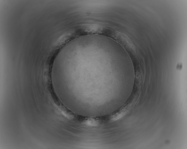 X0000094790416200711161438