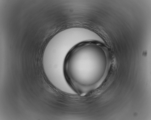 X0000094790419200711161438