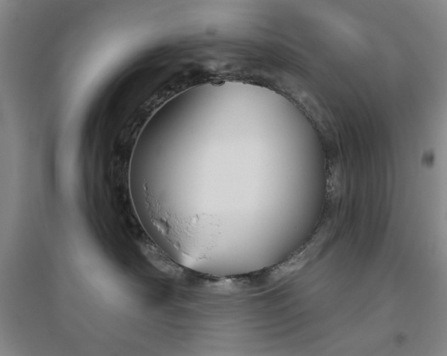 X0000094790430200711161438