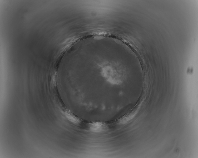 X0000094790432200711161438