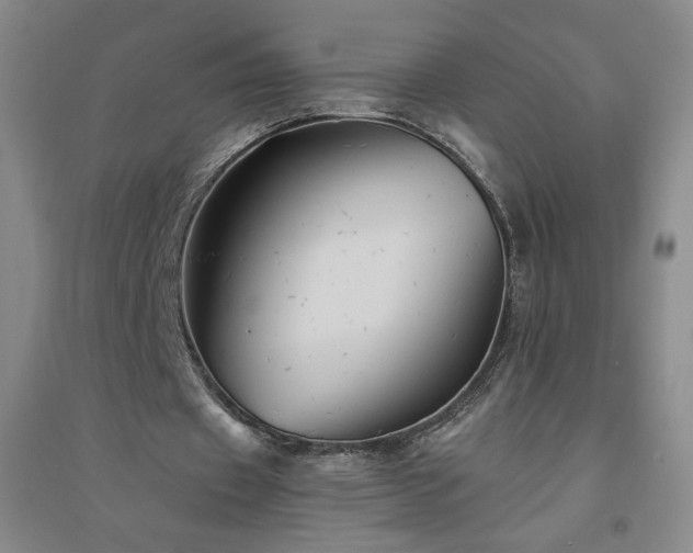 X0000094790433200711161437