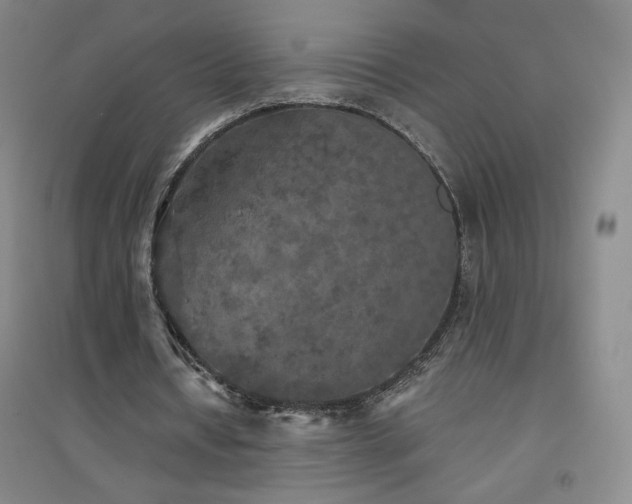 X0000094790434200711161437