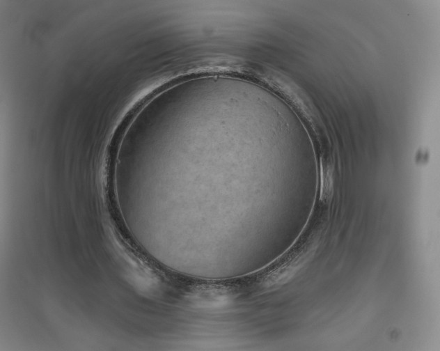 X0000094790435200711161437