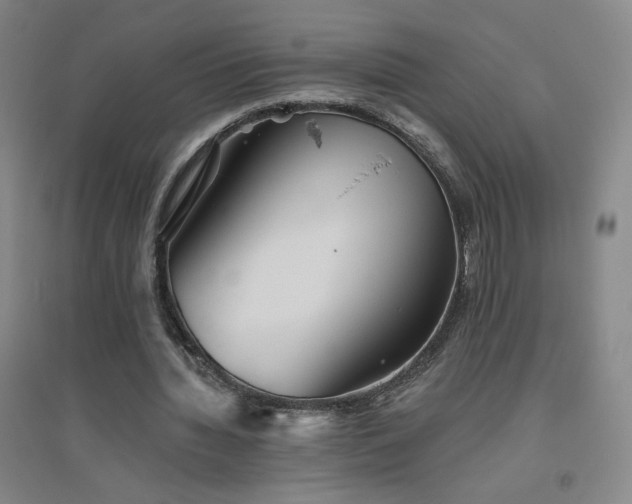 X0000094790436200711161437