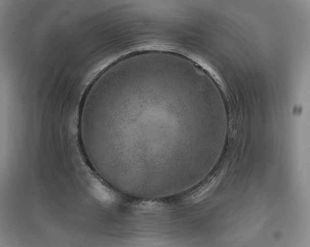 X0000094790437200711161437