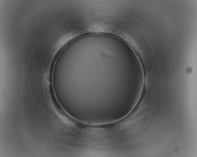 X0000094790438200711161437