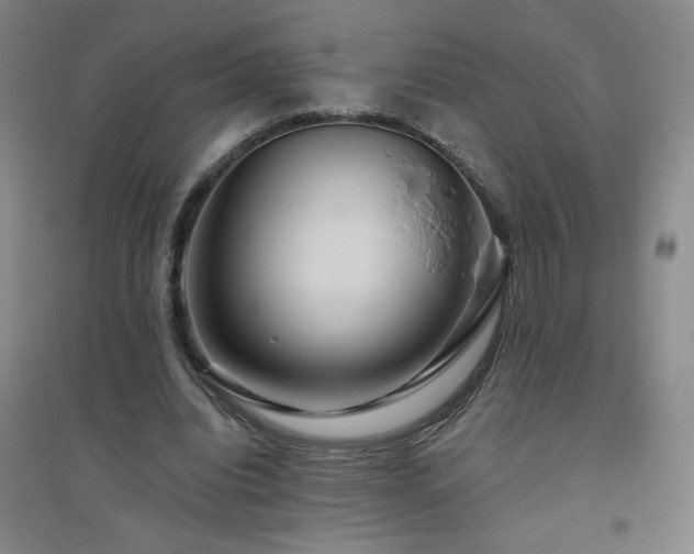 X0000094790440200711161437
