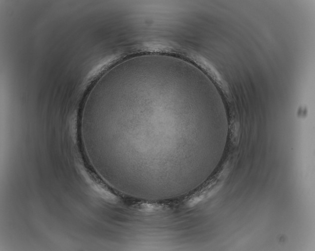 X0000094790442200711161437