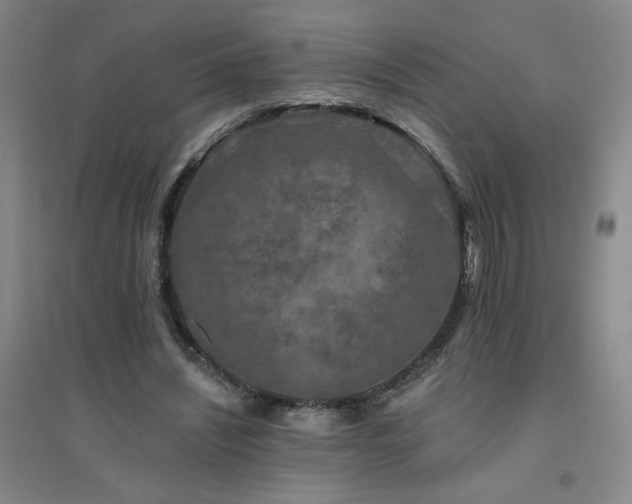 X0000094790444200711161437