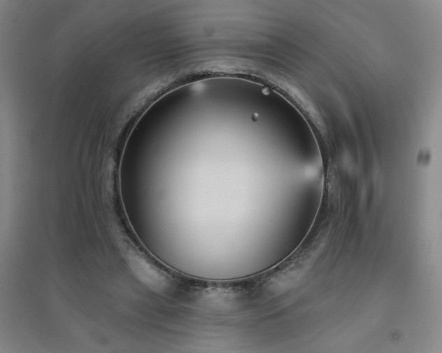 X0000094790445200711161437