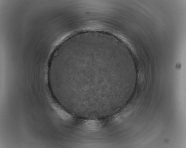 X0000094790446200711161437