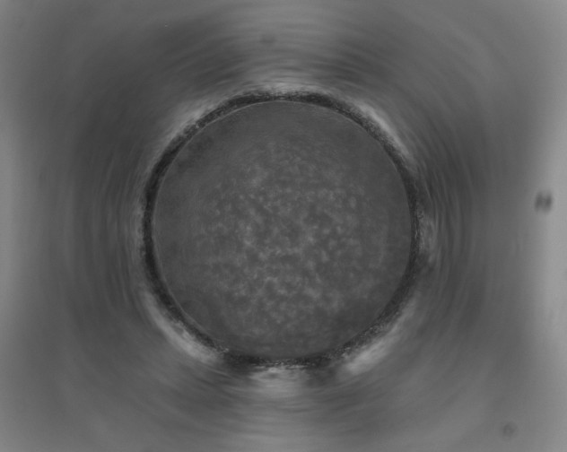 X0000094790447200711161437