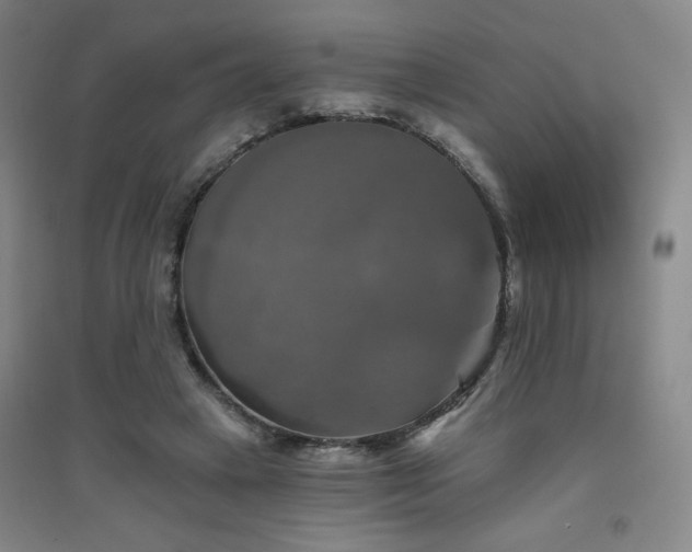X0000094790449200711161437
