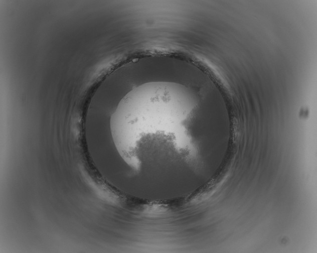 X0000094790451200711161437