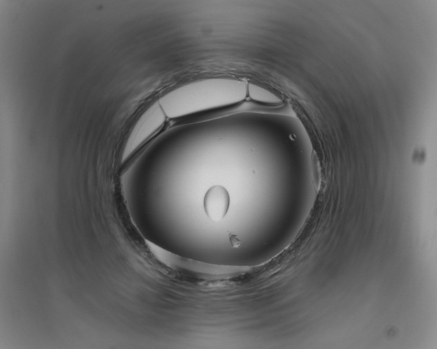 X0000094790452200711161437