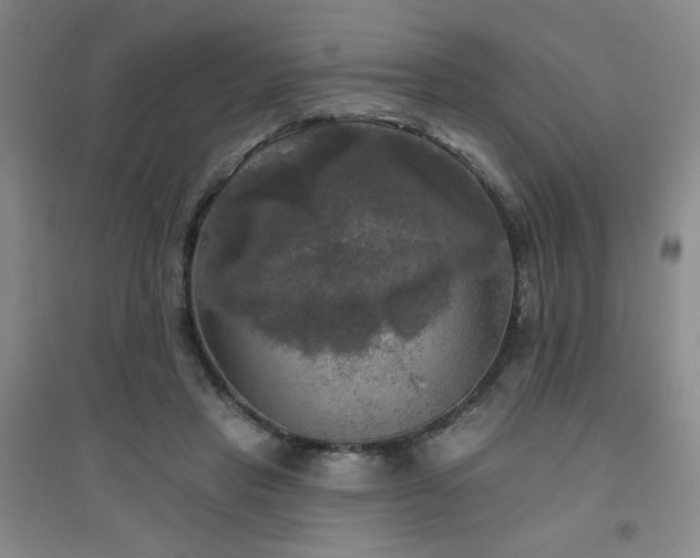 X0000094790453200711161437