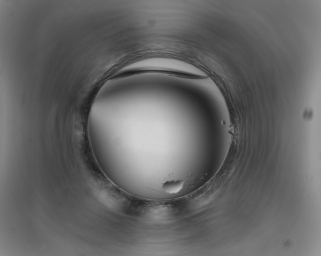 X0000094790456200711161438