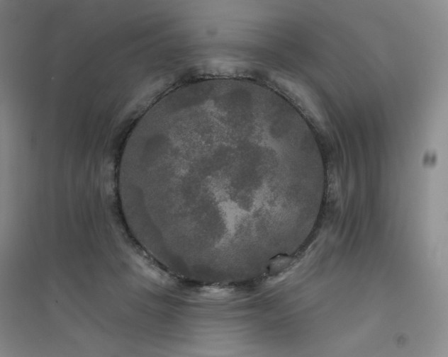 X0000094790457200711161438