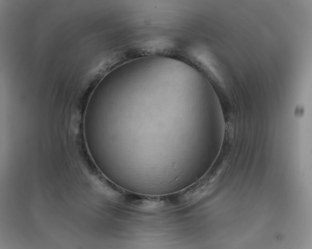 X0000094790458200711161438