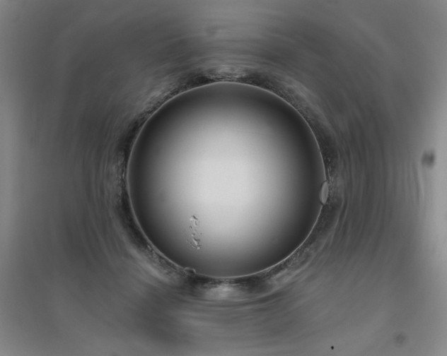 X0000094790460200711161438