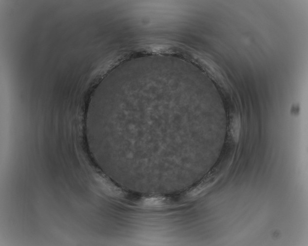 X0000094790461200711161438