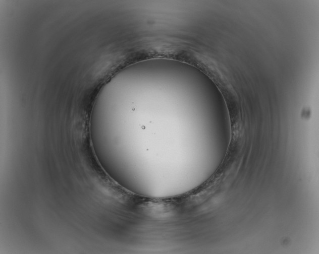 X0000094790464200711161438