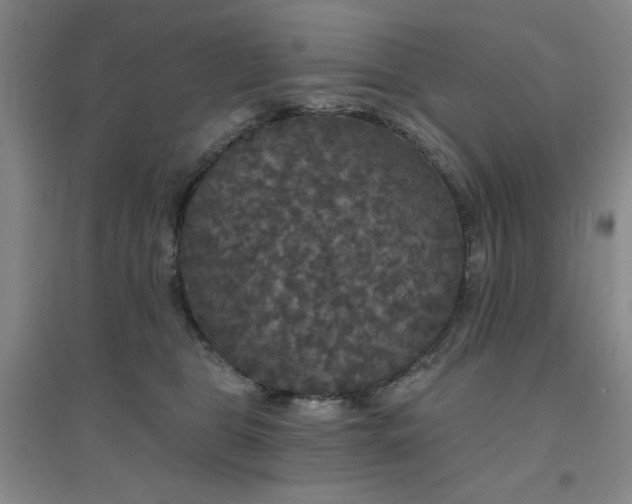 X0000094790469200711161438