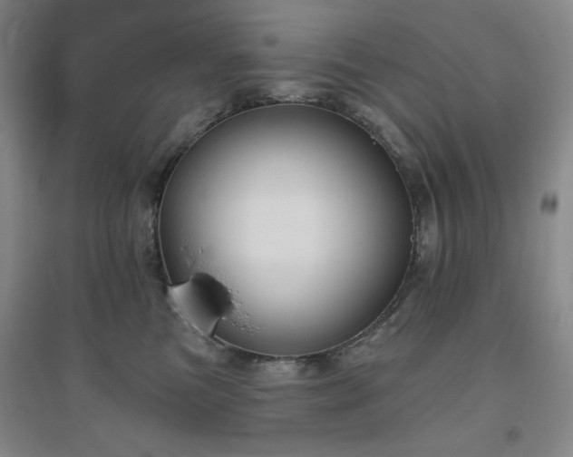 X0000094790473200711161438