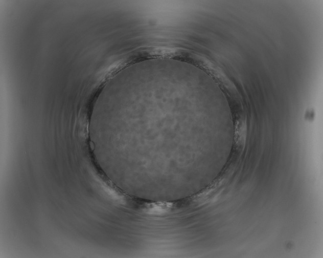 X0000094790474200711161438