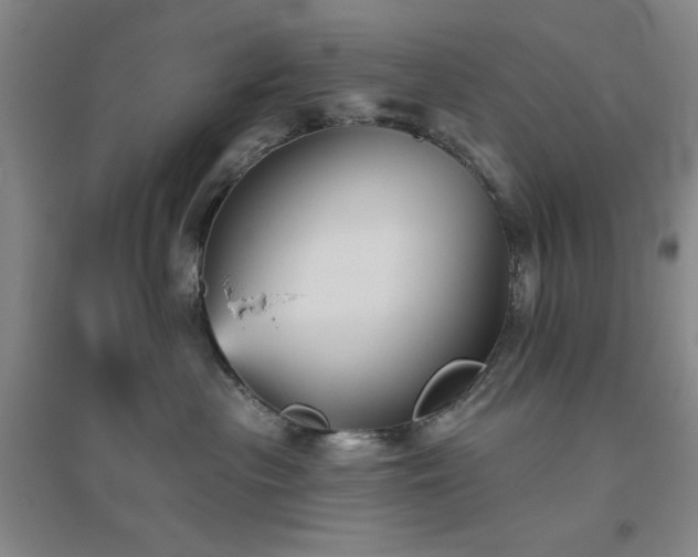 X0000094790477200711161438