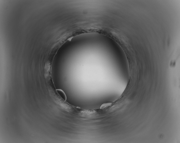 X0000094790480200711161438
