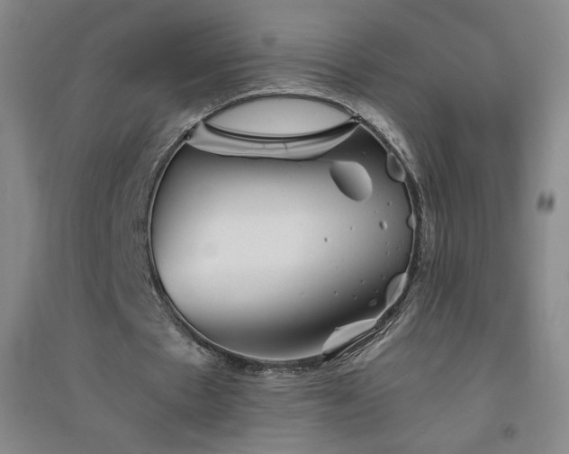 X0000094790481200711161437